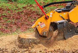 Stateburg, SC Tree Services Company